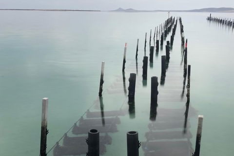 Coffin Bay Oysters, Ocean & Nature Tour - Tourism Cairns 15