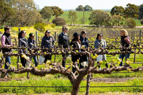 Walk, Taste, Graze - Experience At Pindarie - Tourism Cairns 2