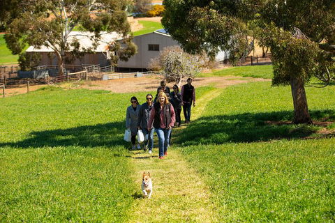 Walk, Taste, Graze - Experience At Pindarie - Tourism Cairns 7