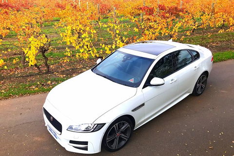 Luxury Jaguar Barossa Valley Half Day Private Tour For 2 - Tourism Cairns 2
