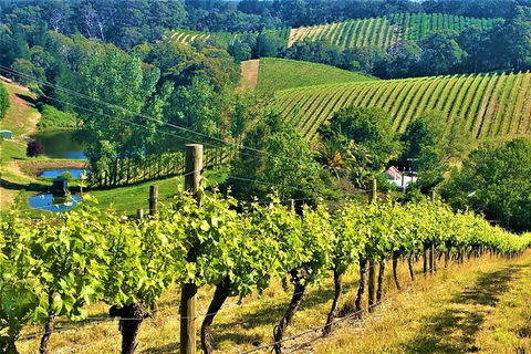 Adelaide Hills Private Day Tour - Tourism Cairns 0