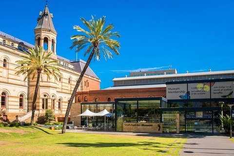 Adelaide Airport Transfers : Adelaide City To Airport ADL In Luxury Car - Tourism Cairns 6
