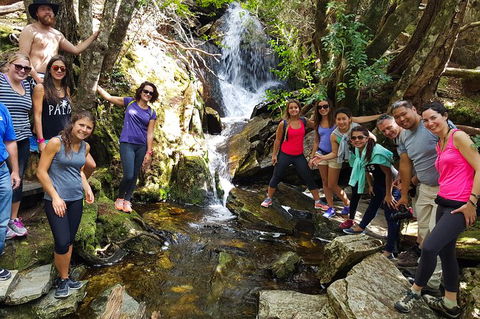 7-Day Super Value Tour Of Tasmania: Explore Tasmania\'s West And East Coasts - Tourism Cairns 3