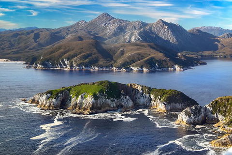 Southwest Tasmania Wilderness Experience: Fly Cruise And Walk Including Lunch - Tourism Cairns 12