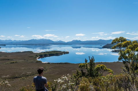 Southwest Tasmania Wilderness Experience: Fly Cruise And Walk Including Lunch - Tourism Cairns 2