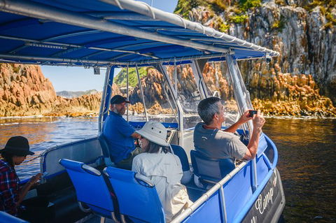 Southwest Tasmania Wilderness Experience: Fly Cruise And Walk Including Lunch - Tourism Cairns 11