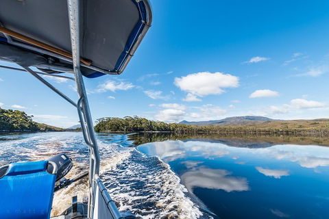 Southwest Tasmania Wilderness Experience: Fly Cruise And Walk Including Lunch - Tourism Cairns 13