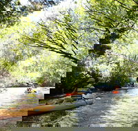Paddle with the Platypus Twilight Kayak Adventure - Tourism Cairns