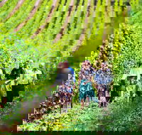 Tasmanian Wine Tour - Tourism Cairns