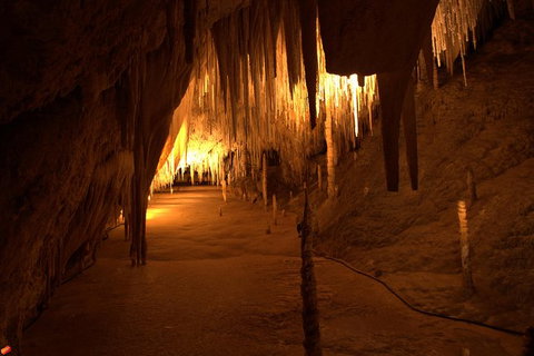 Tahune Airwalk Active Day Trip From Hobart Including Hastings Caves - Tourism Cairns 8
