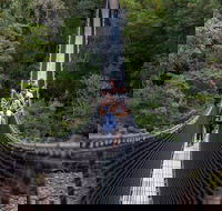 Tahune Airwalk Active Day Trip from Hobart Including Hastings Caves - Tourism Cairns
