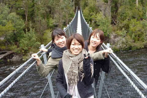 Tahune Airwalk Active Day Trip From Hobart Including Hastings Caves - Tourism Cairns 7