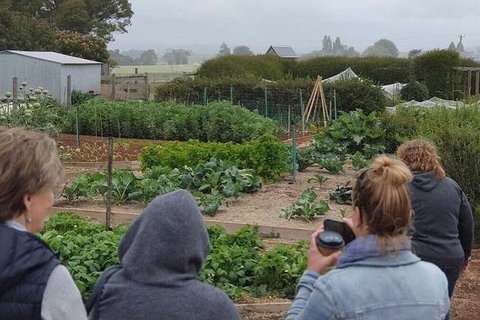 Unearthed Chefs Tour - Tourism Cairns 17
