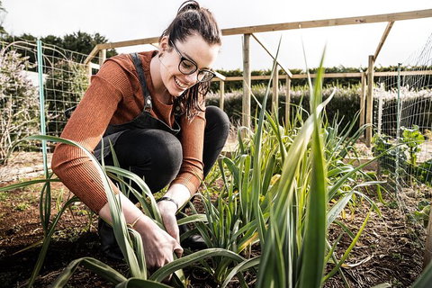 Unearthed Chefs Tour - Tourism Cairns 16