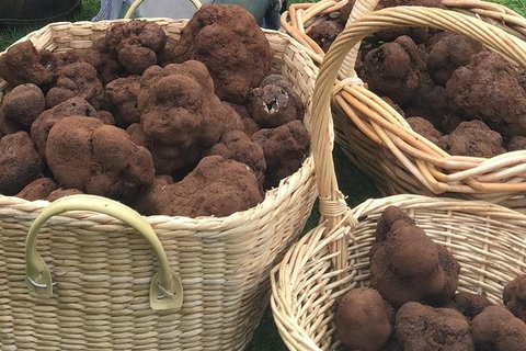 Unearthed Chefs Tour - Tourism Cairns 13