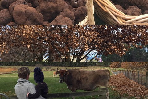 Unearthed Chefs Tour - Tourism Cairns 6