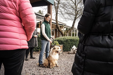 Unearthed Chefs Tour - Tourism Cairns 10