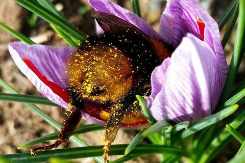 Unearthed Chefs Tour - Tourism Cairns 9