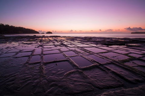 Full Day Tour Hobart: Port Arthur McHenry Gins Bangor Vineyard Wines + Oysters - Tourism Cairns 8