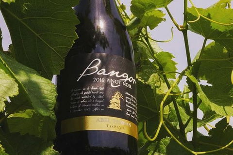 Full Day Tour Hobart: Port Arthur McHenry Gins Bangor Vineyard Wines + Oysters - Tourism Cairns 2