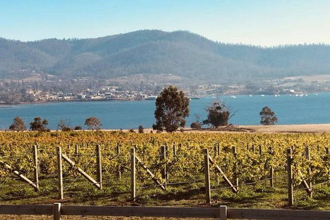Full Day Tour Hobart: Port Arthur McHenry Gins Bangor Vineyard Wines + Oysters - Tourism Cairns 22