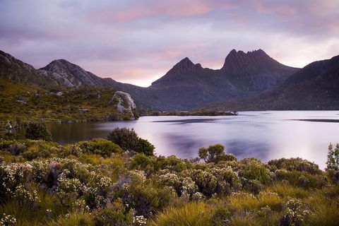 Cradle Mountain Private Charter Service - Tourism Cairns 3
