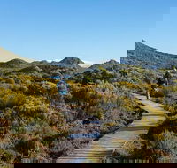 Hartz Mountains premium private photo-oriented day tour from Hobart - Tourism Cairns