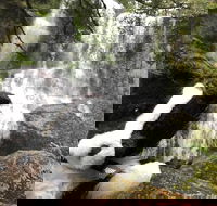 Waterfalls Guided Tour - Tourism Cairns