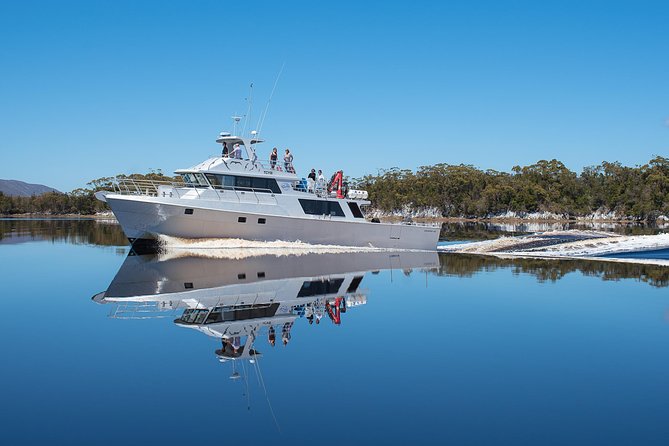North Hobart TAS Tourism Cairns