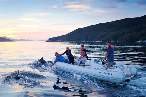 4-Day Cruise Expedition Of Southwest Tasmania\'s World Heritage From Hobart - Tourism Cairns 1