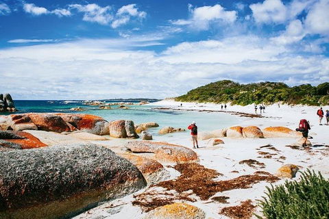 Wineglass Bay Private Charter Service - Tourism Cairns 2
