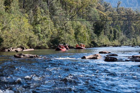 Twin Rivers Adventure - Tourism Cairns 1