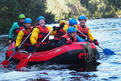 Twin Rivers Adventure - Tourism Cairns 2