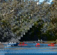 Twin Rivers Adventure - Tourism Cairns