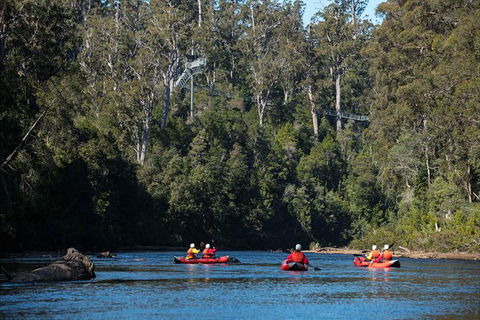 Twin Rivers Adventure - Tourism Cairns 0