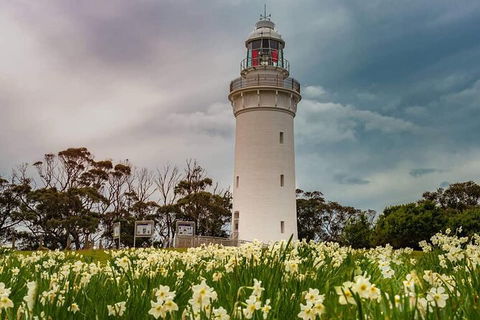 Table Cape Lighthouse Tours - Tourism Cairns 7