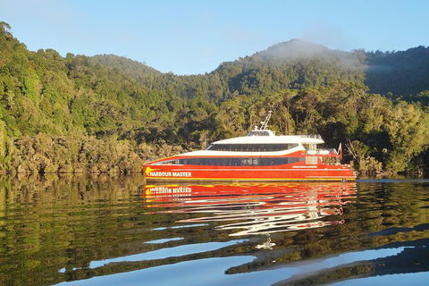 Afternoon Gordon River Dinner Cruise - Departing 3pm - Tourism Cairns 1