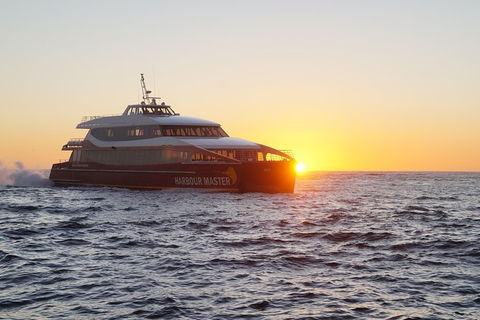 Afternoon Gordon River Dinner Cruise - Departing 3pm - Tourism Cairns 0