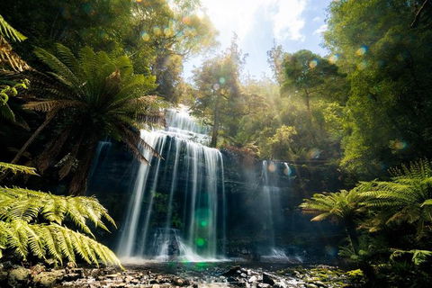 Mount Field Private Charter Service - Tourism Cairns 2