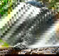 Mount Field Private Charter Service - Tourism Cairns