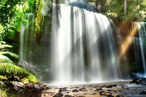 Mount Field Private Charter Service - Tourism Cairns 0