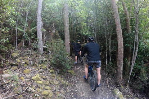 Explore Downhill Mountain In 3-Hour Bike Tour From Hobart - Tourism Cairns 5