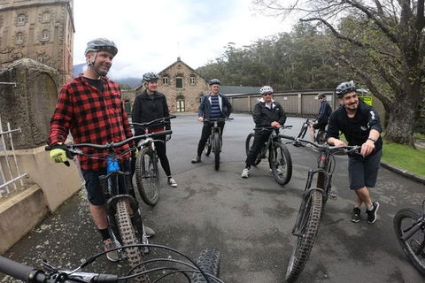 Explore Downhill Mountain In 3-Hour Bike Tour From Hobart - Tourism Cairns 3
