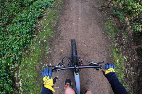 Explore Downhill Mountain In 3-Hour Bike Tour From Hobart - Tourism Cairns 4