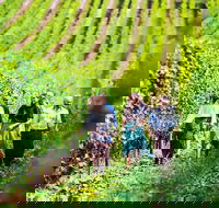 Hobart Highlights of Tasmanian Wine Full Day Tour - Tourism Cairns