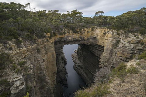 Private Hobart Discover South East Food And Scenic Tour - Tourism Cairns 1