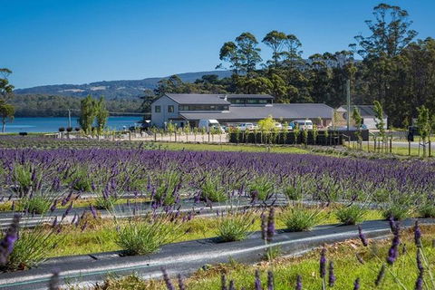 Private Hobart Discover South East Food And Scenic Tour - Tourism Cairns 3