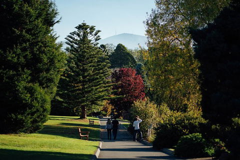 Private Royal Tasmanian Botanical Gardens Walking Tour - Tourism Cairns 3