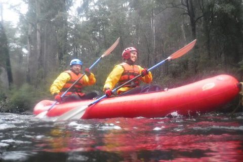 Twin Rivers Winter Adventure - Tourism Cairns 3