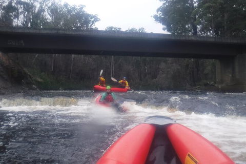 Twin Rivers Winter Adventure - Tourism Cairns 4